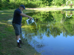 Pure Beneficial Bacteria for Ponds in Pond Muck Reducer & pureSHOCK