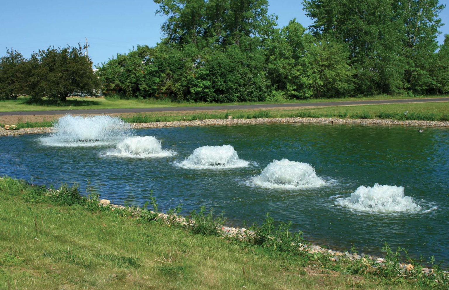 Algae Control